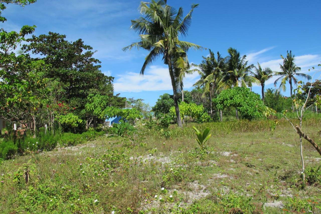 Celtis Resort Malapascua ö Exteriör bild